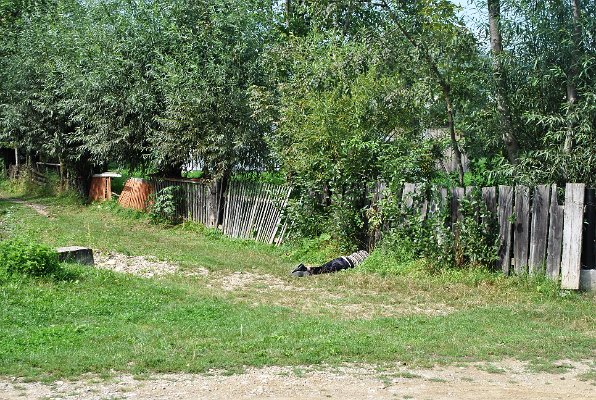 238_Odpočívající pán v Nowém Solonci
